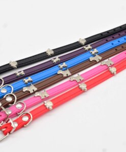 COLLAR DE PERRO #1.0 1UND