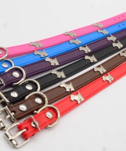COLLAR PARA MASCOTA #1.5 1UND
