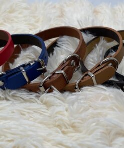 COLLAR PARA MASCOTA 1.5CM 1UND