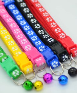 COLLAR PARA MASCOTA 1UND