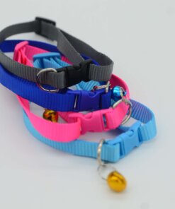 COLLAR PARA MASCOTA #1.0 1UND