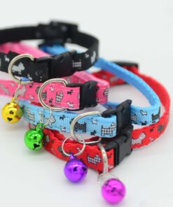 COLLAR PARA MASCOTA 1UND