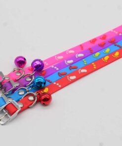 COLLAR PARA MASCOTA 1UND