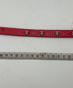 COLLAR PARA MASCOTA 1UND
