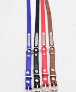 COLLAR PARA MASCOTA 1UND