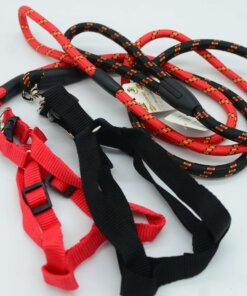 CUERDA Y PECHERA PARA PERRO #1.0 1UND (2PCS)