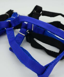 CUERDA Y PECHERA PARA MASCOTA 2.0CM 1UND (2PCS)