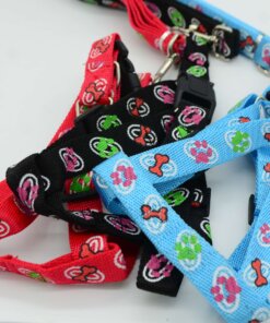 CUERDA Y PECHARA PARA PERRO #2.0 1UND (2PCS)