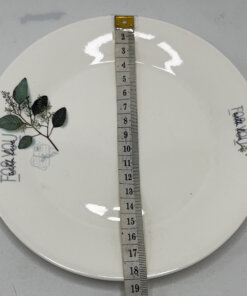 PLATO CERÁMICA #7 1UND