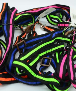 CUERDA Y PECHERA PARA PERRO #2.0 1UND (2PCS)