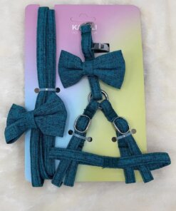 CUERDA Y PECHERA PARA MASCOTA 1UND (2PCS)