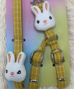 CUERDA Y PECHERA PARA MASCOTA 1UND (2PCS)