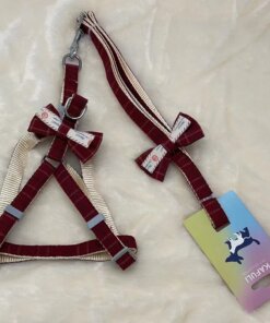 CUERDA Y PECHERA PARA MASCOTA 1UND (2PCS)