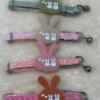COLLAR PARA MASCOTA 1UND