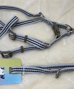 CUERDA Y PECHERA PARA MASCOTA 1UND (2PCS)