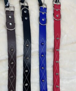 COLLAR PARA MASCOTA 1UND
