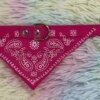 COLLAR CON PAÑUELO #2.0 1UND