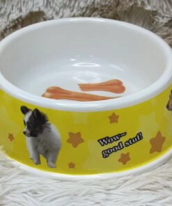 TAZA PARA MASCOTA 1UND