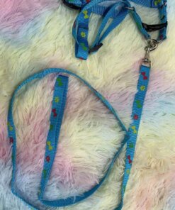CUERDA Y PECHERA PARA MASCOTA #1.5 2PCS