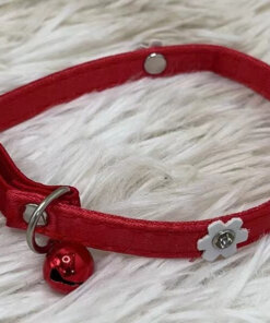 COLLAR PARA MASCOTA #1.0 1UND