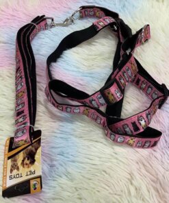 CUERDA Y PECHERA PARA MASCOTA #2.5 1UND (2PCS)