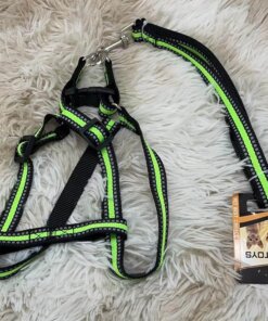 CUERDA Y PECHERA PARA MASCOTA #2.0 1UND (2PCS)
