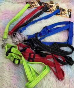 CUERDA Y PECHERA PARA MASCOTA #2.0 1UND (2PCS)