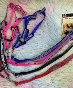 CUERDA Y PECHERA PARA MASCOTA #1.0 1UND (2PCS)