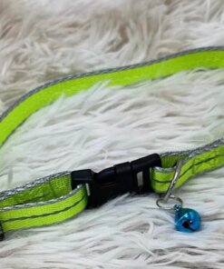 COLLAR PARA MASCOTA #1.5 1UND