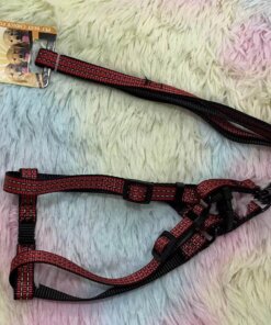 CUERDA Y PECHERA PARA MASCOTA #1.5 1UND (2PCS)