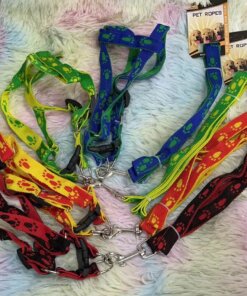 CUERDA Y PECHERA PARA MASCOTA #2.0 1UND (2PCS)