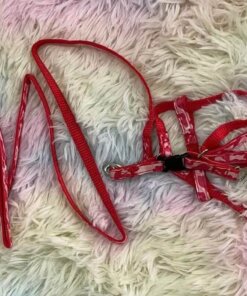 CUERDA Y PECHERA PARA MASCOTA #1.0 1UND (2PCS)