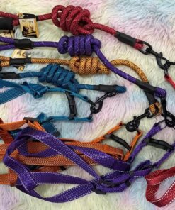CUERDA Y PECHERA PARA MASCOTA #2.5 1UND (2PCS)