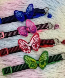 COLLAR PARA MASCOTA #1.5 1UND