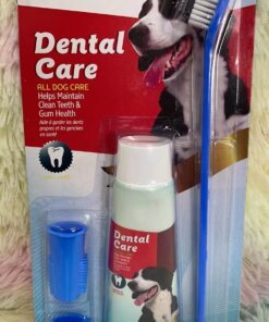 SET DE CEPILLO Y PASTA DENTAL PARA MASCOTA 1UND