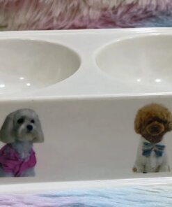 TAZA DOBLE PARA MASCOTA 1UND