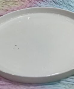 PLATO CERÁMICA BLANCO #8 1UND