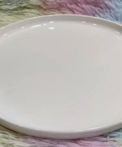PLATO CERÁMICA BLANCO #10 1UND
