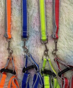 CUERDA Y PECHERA PARA MASCOTA #2.0 1UND (2PCS)