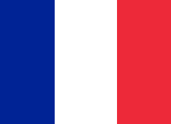 BANDERA FRANCIA 1UND