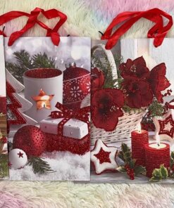 BOLSA REGALO NAVIDAD 26X32X10CM 1UND