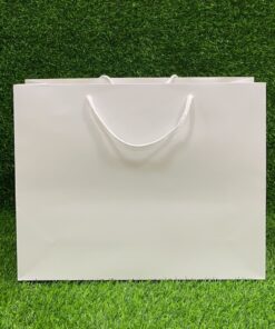 BOLSA DE REGALO GRANDE CARTULINA 39X31X12CM 1UND