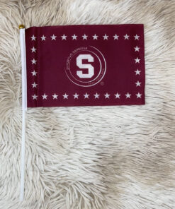 BANDERA SAPRISSA PEQ. 14X21CM 1UND