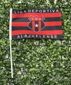 BANDERA LDA PEQ. 1UND