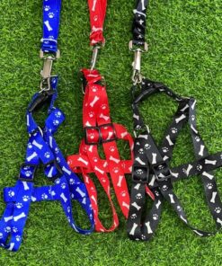 CUERDA Y PECHERA PARA MASCOTA #2.0 1UND (2PCS)