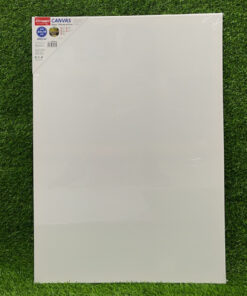 CANVA 50*70*1.6CM 1UND