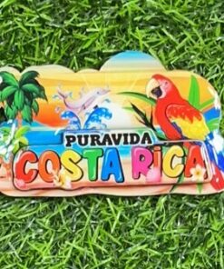 IMAN PARA REFRIGERADORA 3D DE PLAYA Y LOLO C.R 1UND