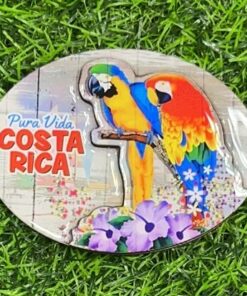 IMAN PARA REFRIGERADORA 3D DE LOROS C.R 1UND