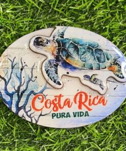 IMAN PARA REFRIGERADORA 3D DE TORTUGA MARINA C.R 1UND