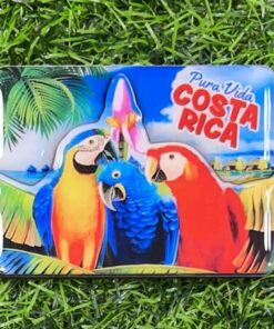 IMÁN PARA REFRIGERADORA 3D DE LOROS C.R 1UND